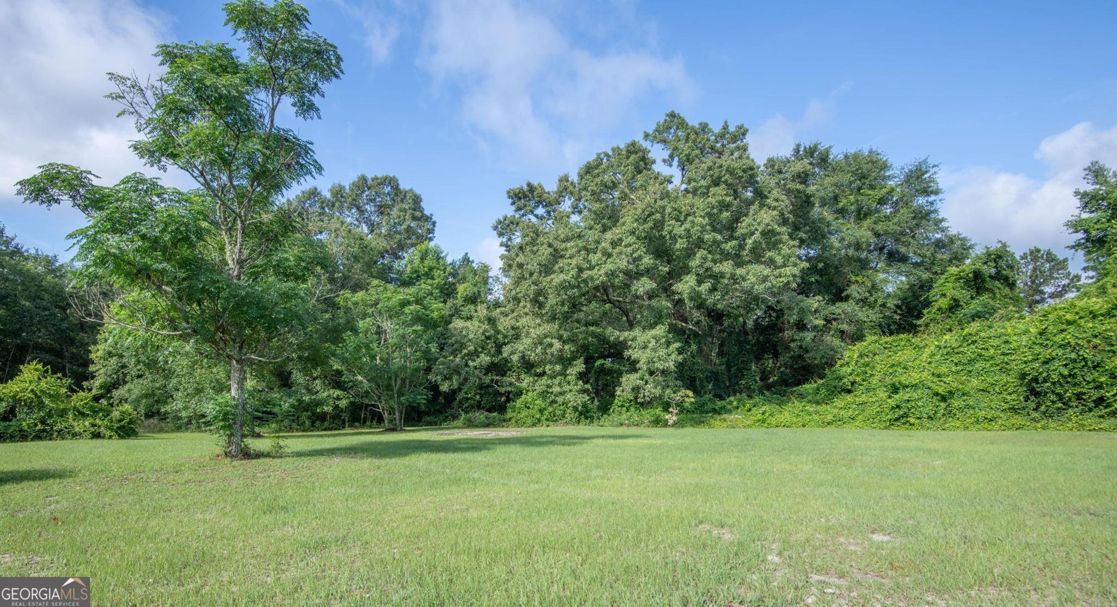 938 Rifle Road Sylvania - 13