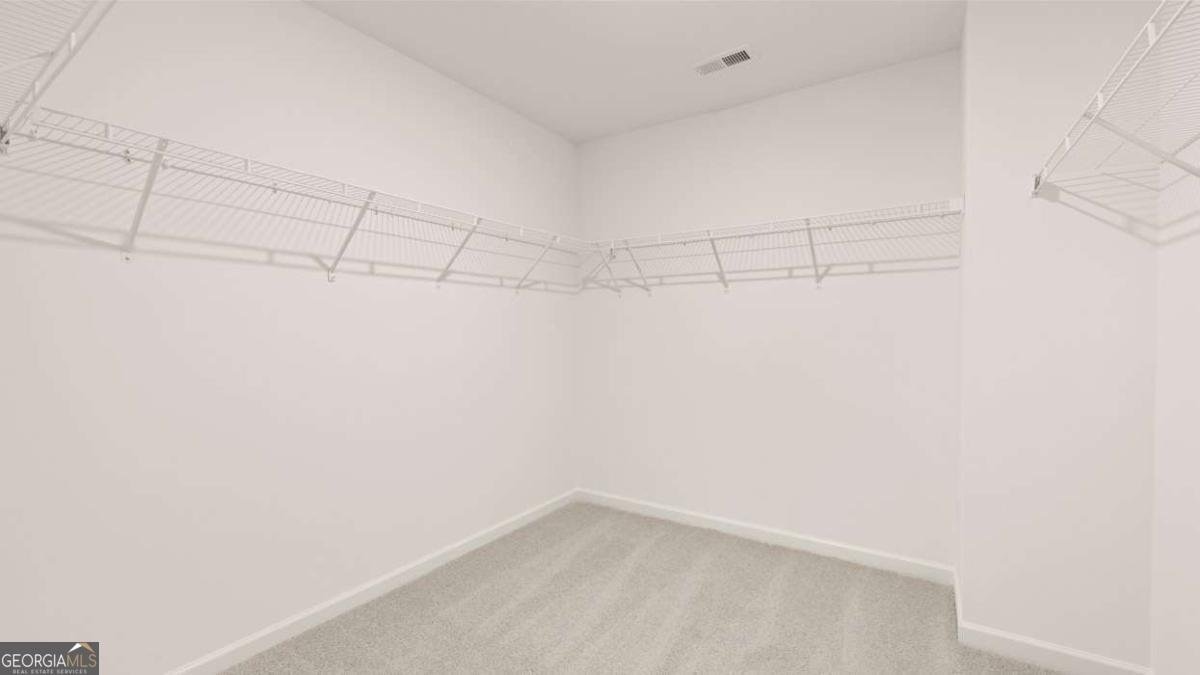 255 Silver Moon Drive Loganville - 58