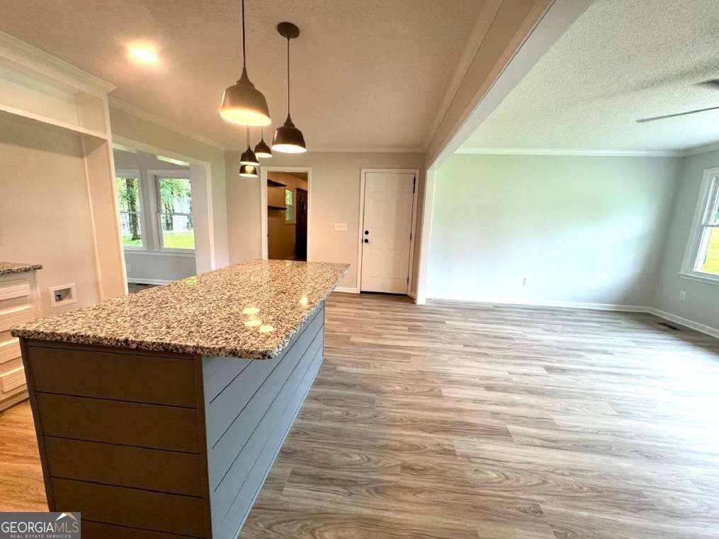 309 Morning Star Lane Mount Airy - 4