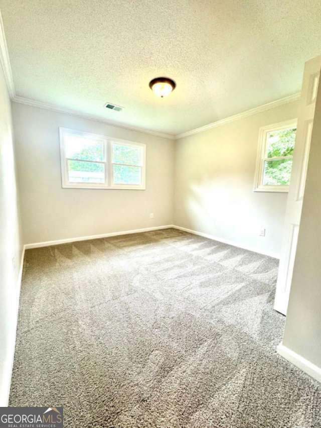 309 Morning Star Lane Mount Airy - 9