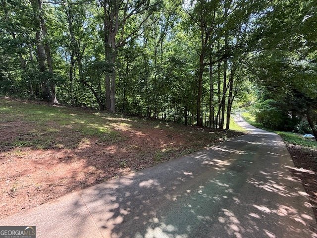 114 Hawkins Farm Lane Ball Ground - 31