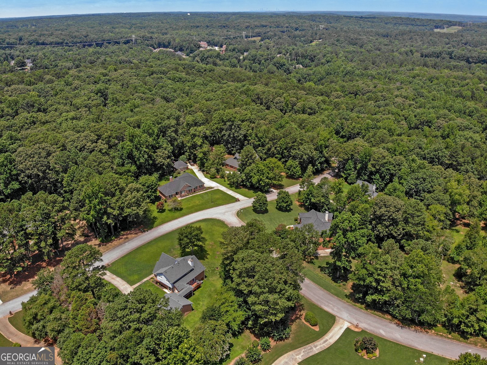 3612 Sierra Drive Drive Stockbridge - 6