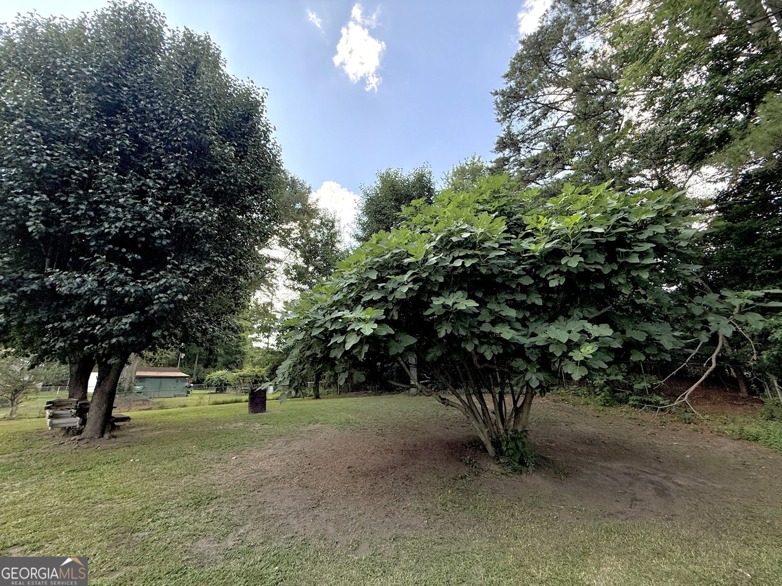610 Tower Road Peachtree City - 38