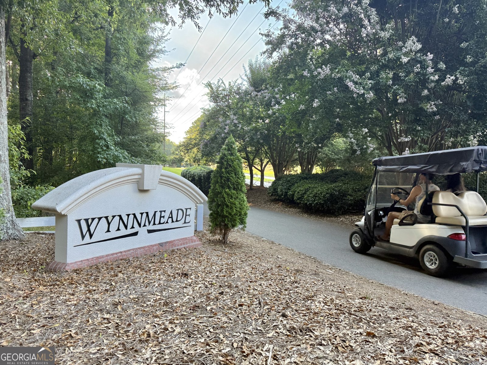 610 Tower Road Peachtree City - 43