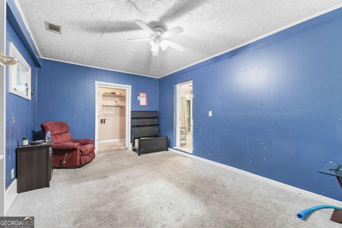 3927 Buck Road Powder Springs - 10