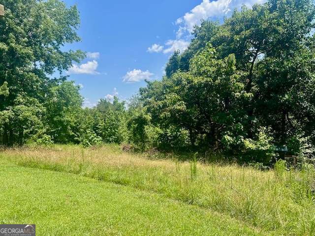9262 Morrison Road Lula - 4