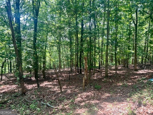9262 Morrison Road Lula - 44