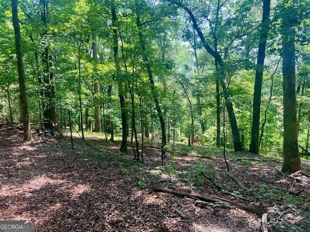 9262 Morrison Road Lula - 45