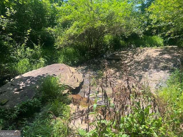 9262 Morrison Road Lula - 8