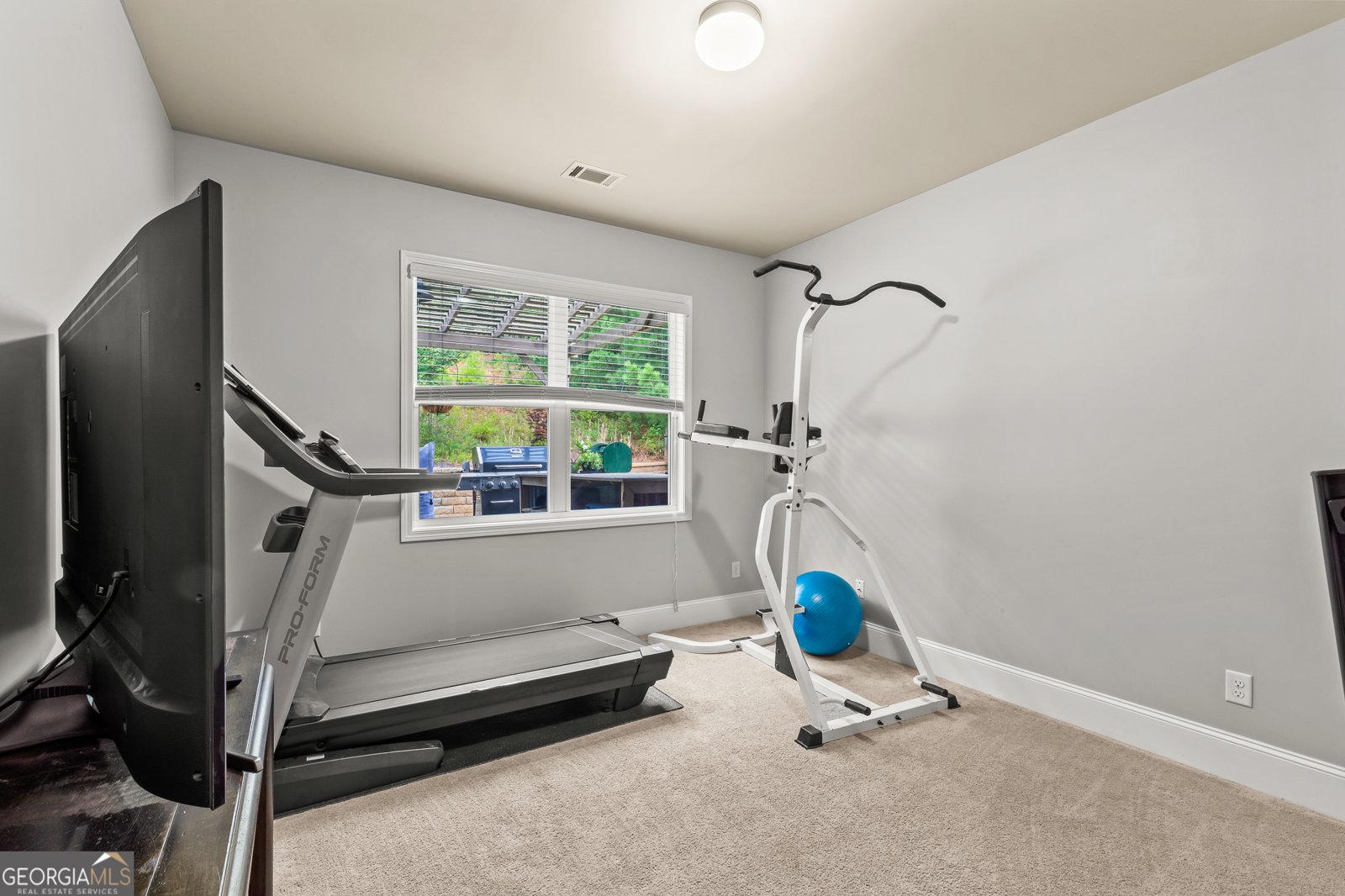 250 Mulberry Drive Senoia - 29