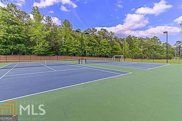 250 Mulberry Drive Senoia - 3