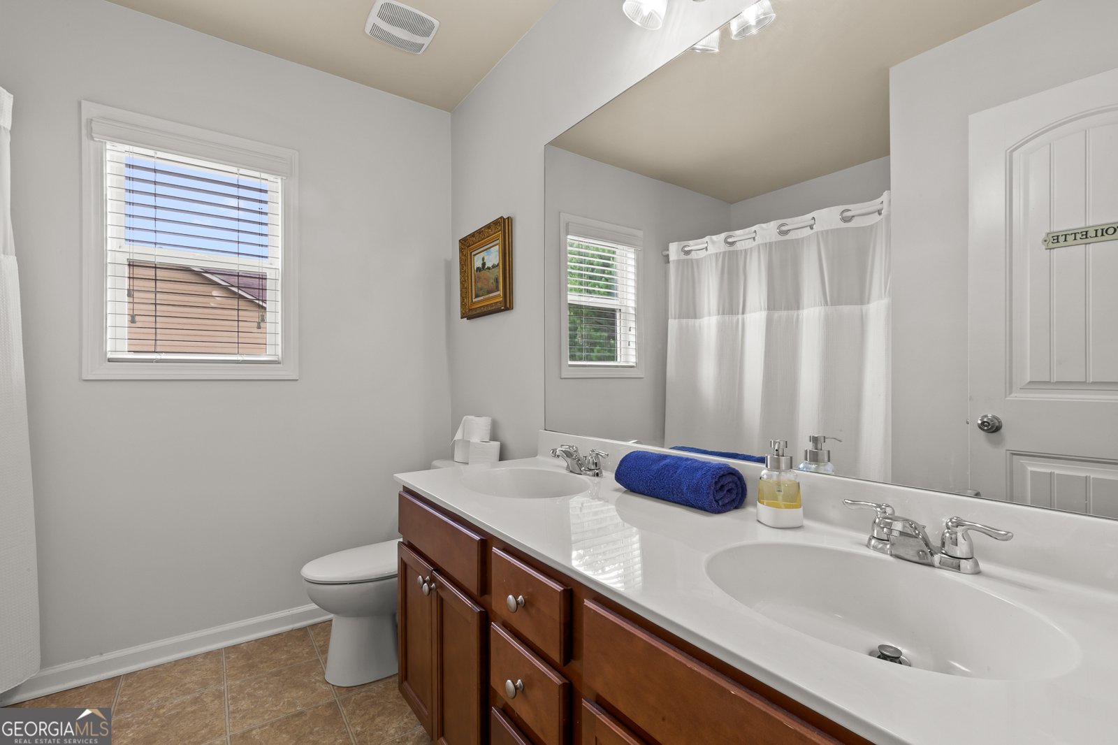 250 Mulberry Drive Senoia - 33