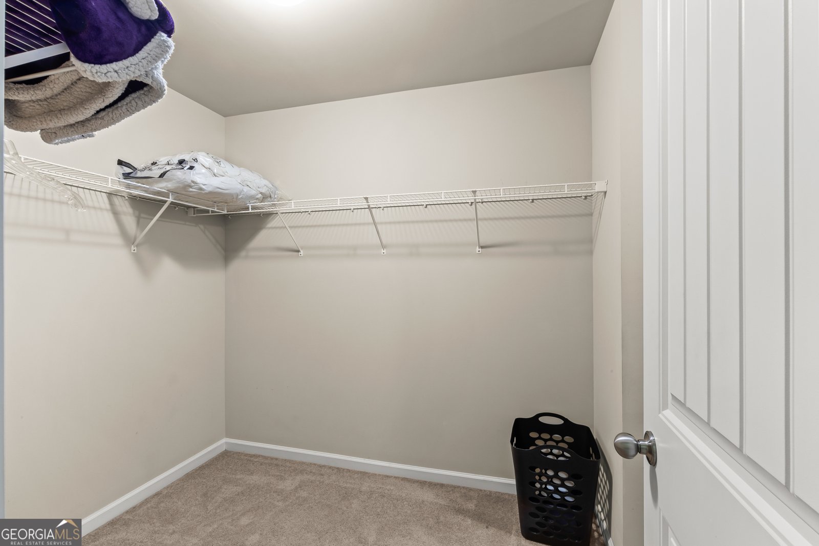 250 Mulberry Drive Senoia - 45