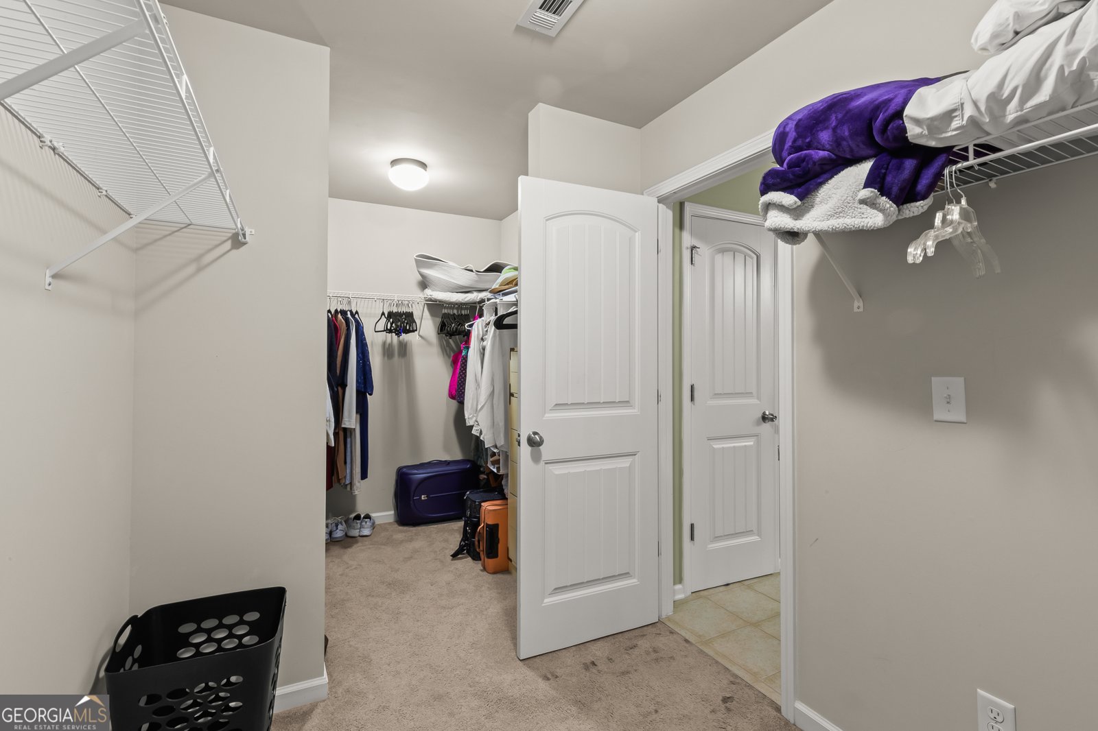 250 Mulberry Drive Senoia - 46