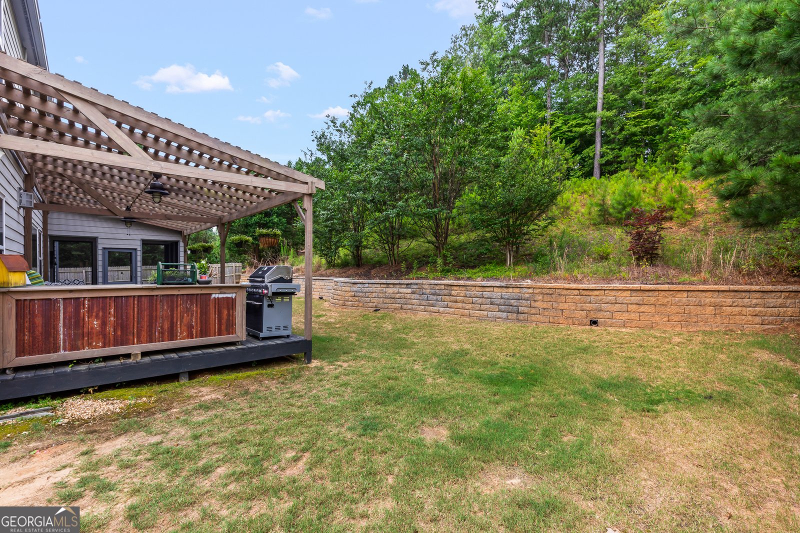 250 Mulberry Drive Senoia - 56