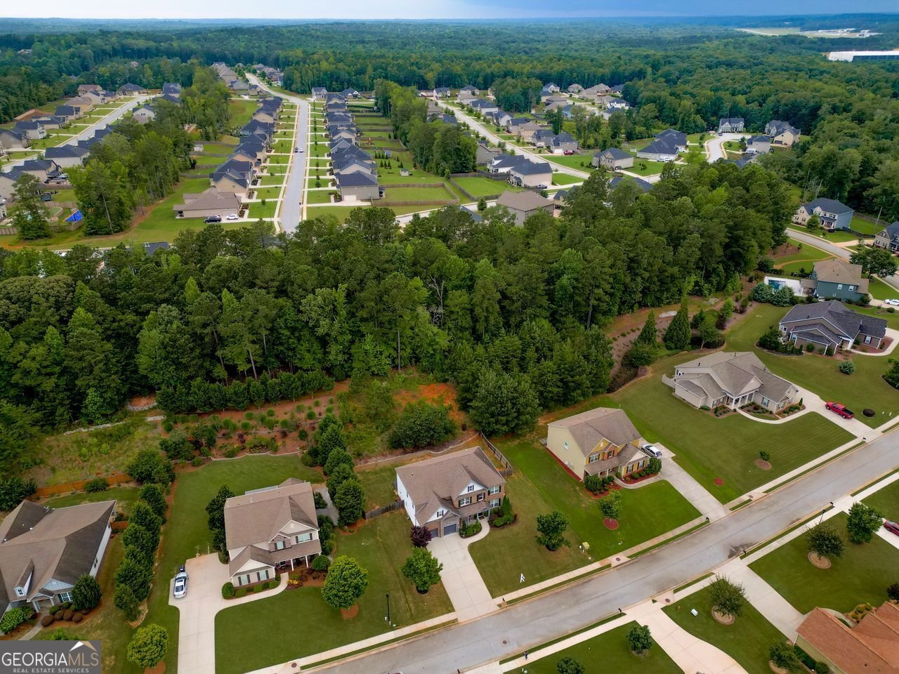 250 Mulberry Drive Senoia - 59