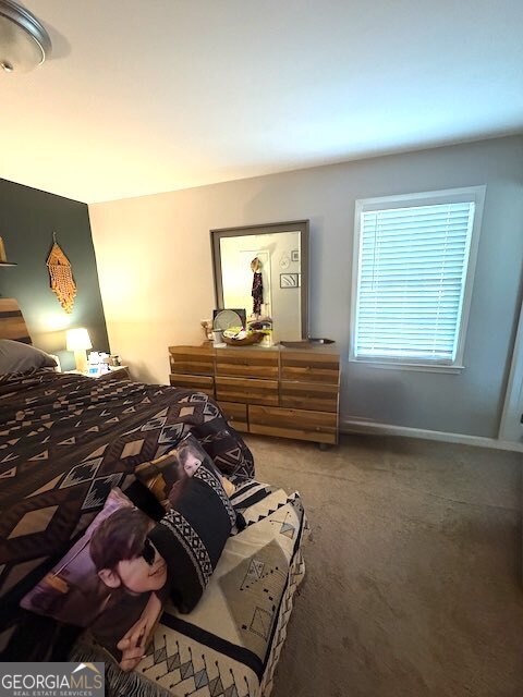 205 TRICKUM HILLS Lane Woodstock - 20