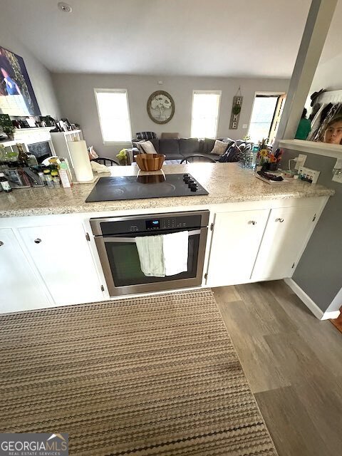 205 TRICKUM HILLS Lane Woodstock - 9