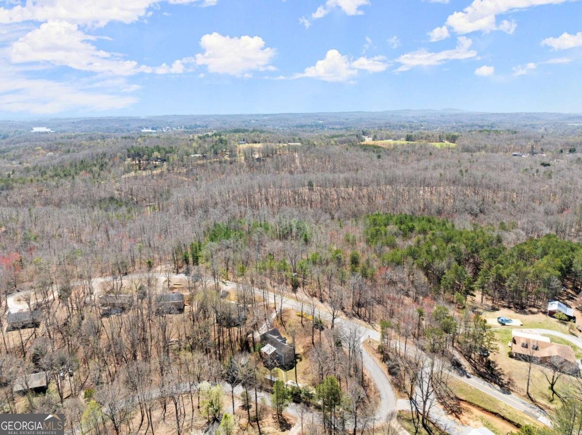 165 Grant Ford Dr. Dawsonville - 42