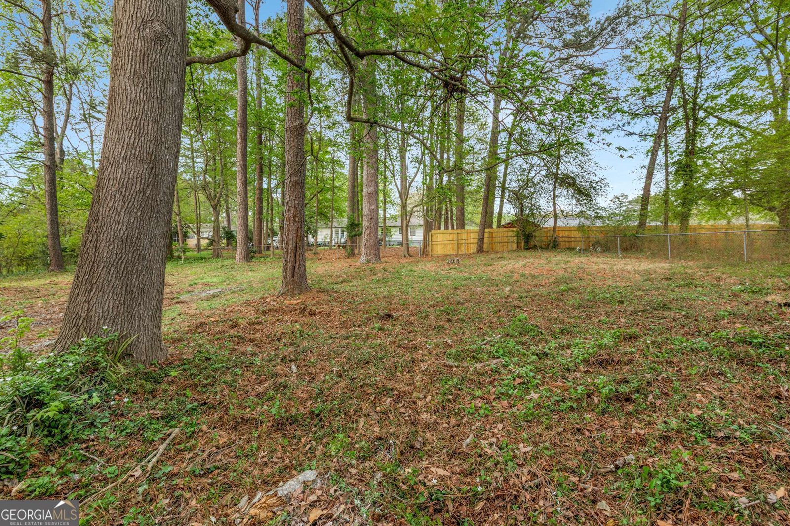 2694 Hickory Valley Drive Snellville - 28