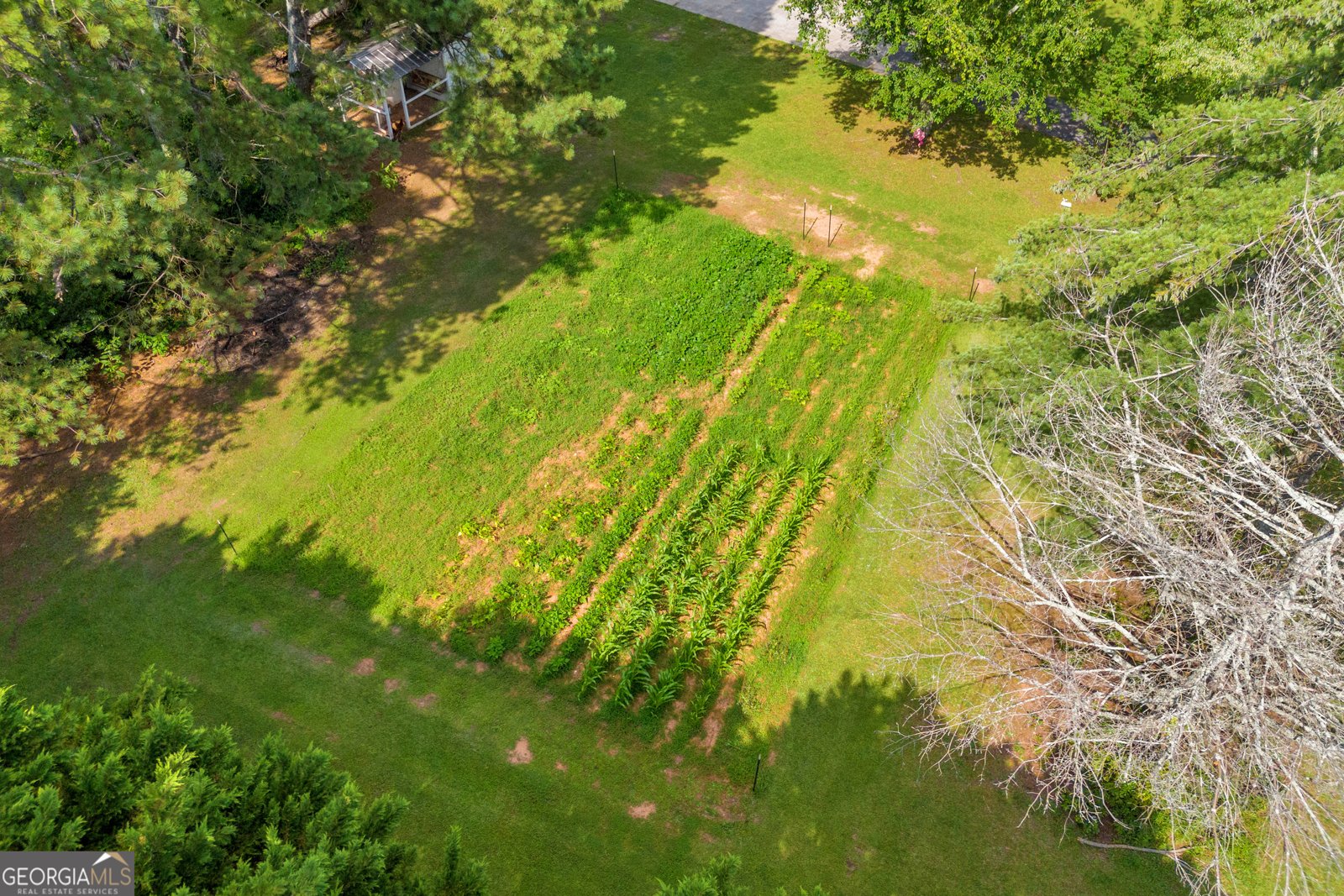 2294 Mountain Creek Church Road Monroe - 3