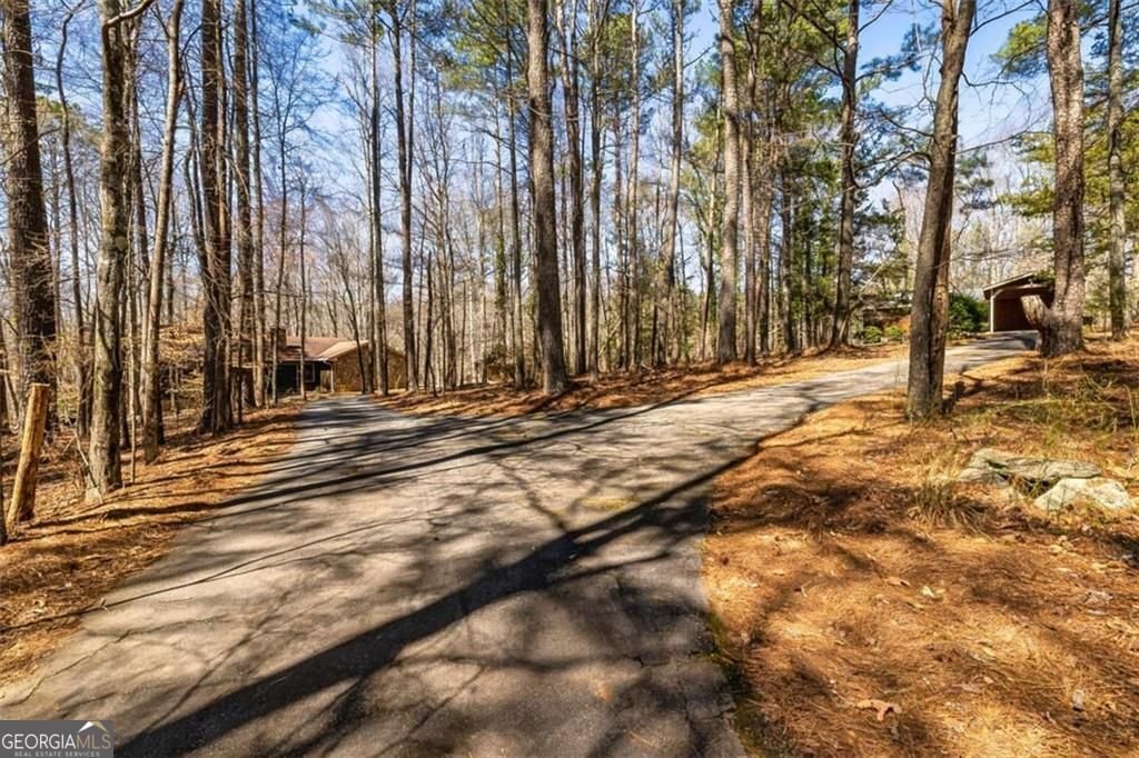 166 Muse Road FAYETT - 1