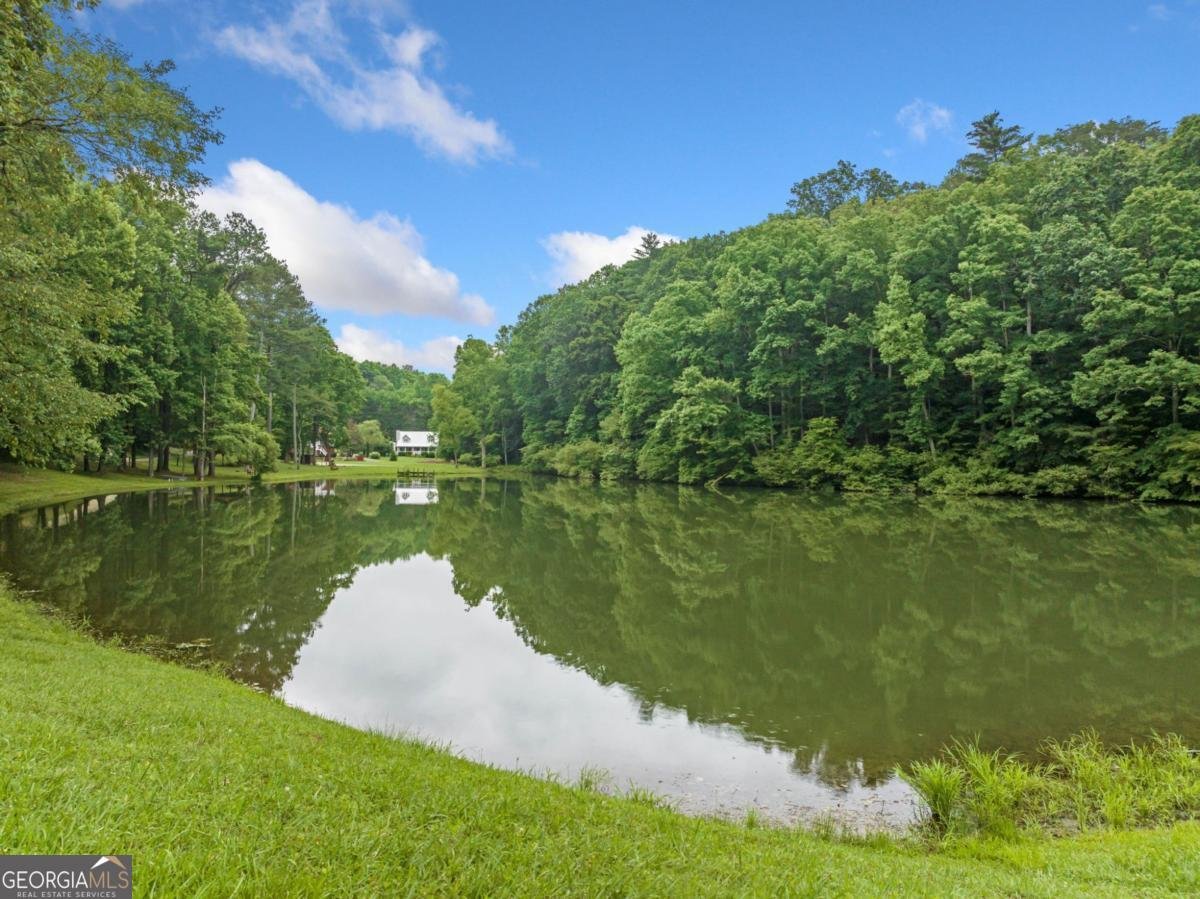65 65 Dogwood Lane Ellijay - 2