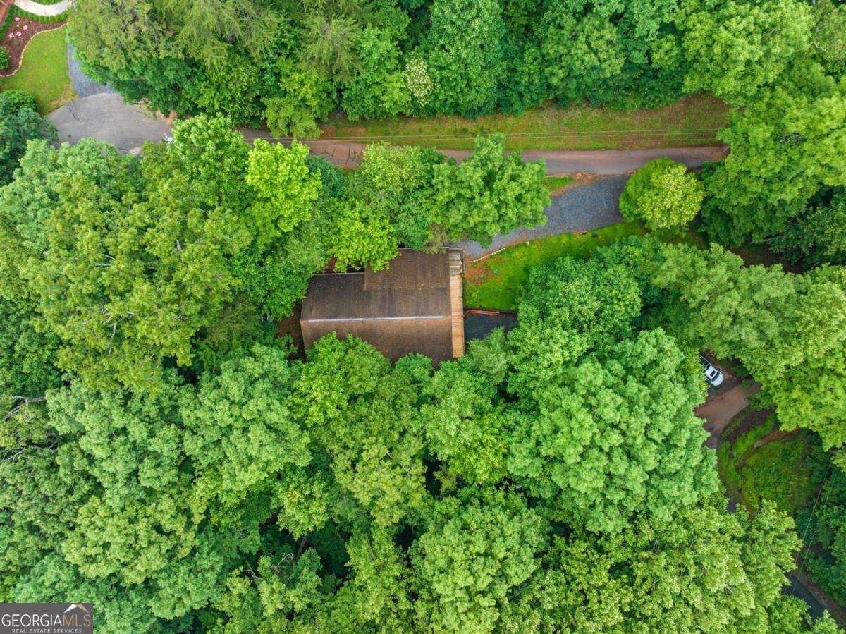 65 65 Dogwood Lane Ellijay - 38