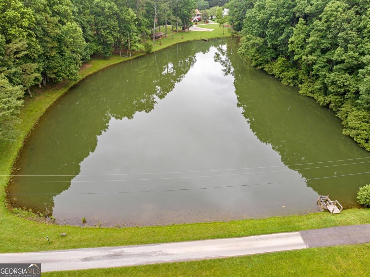 65 65 Dogwood Lane Ellijay - 45