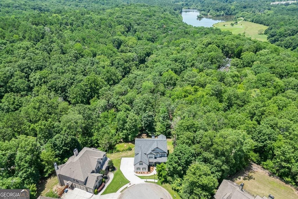 4208 Sierra Creek Court Hoschton - 53