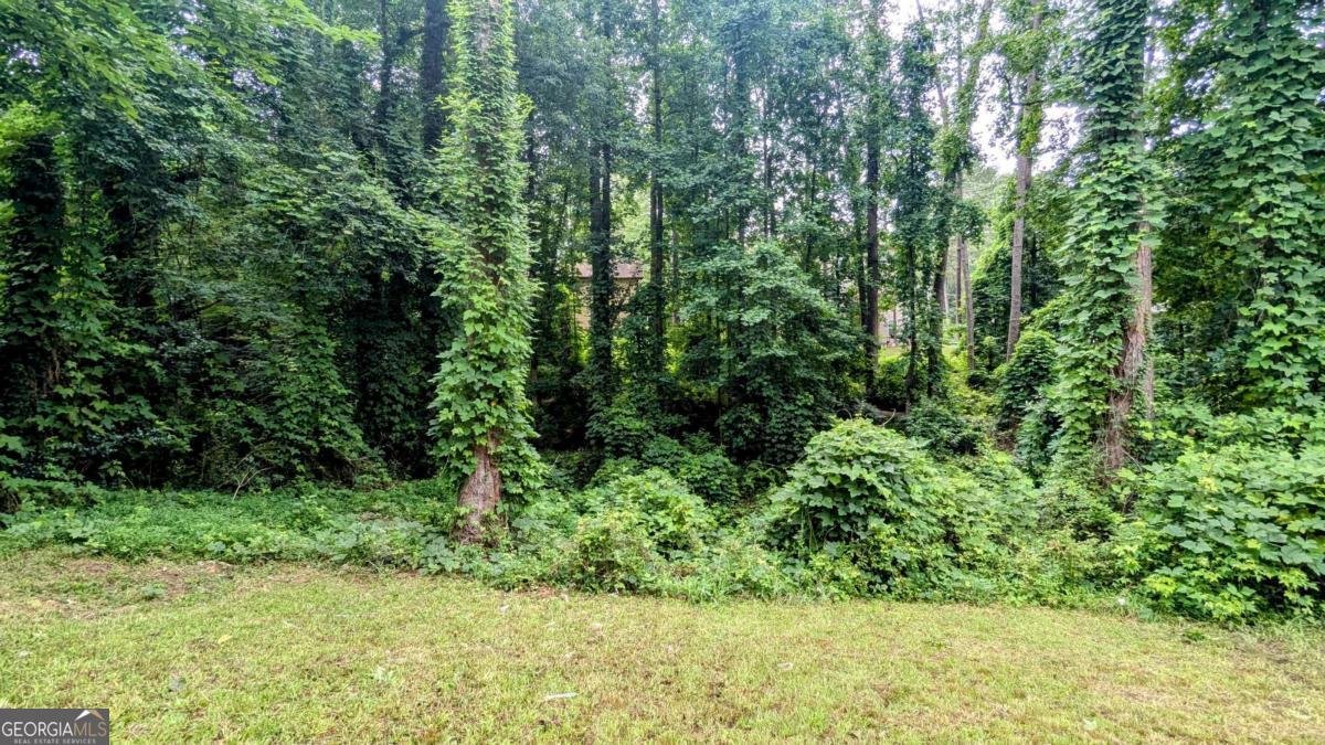 3646 Salem Drive Lithonia - 7