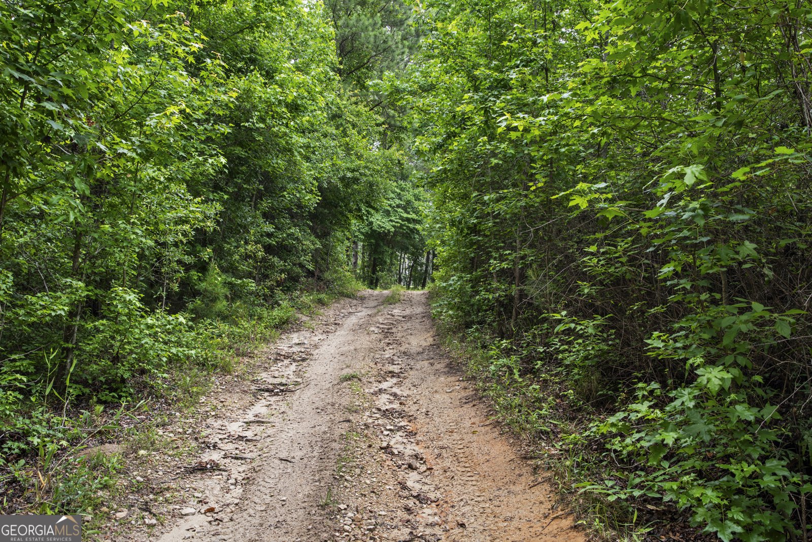 246 Moran Springs RD milledgeville - 10