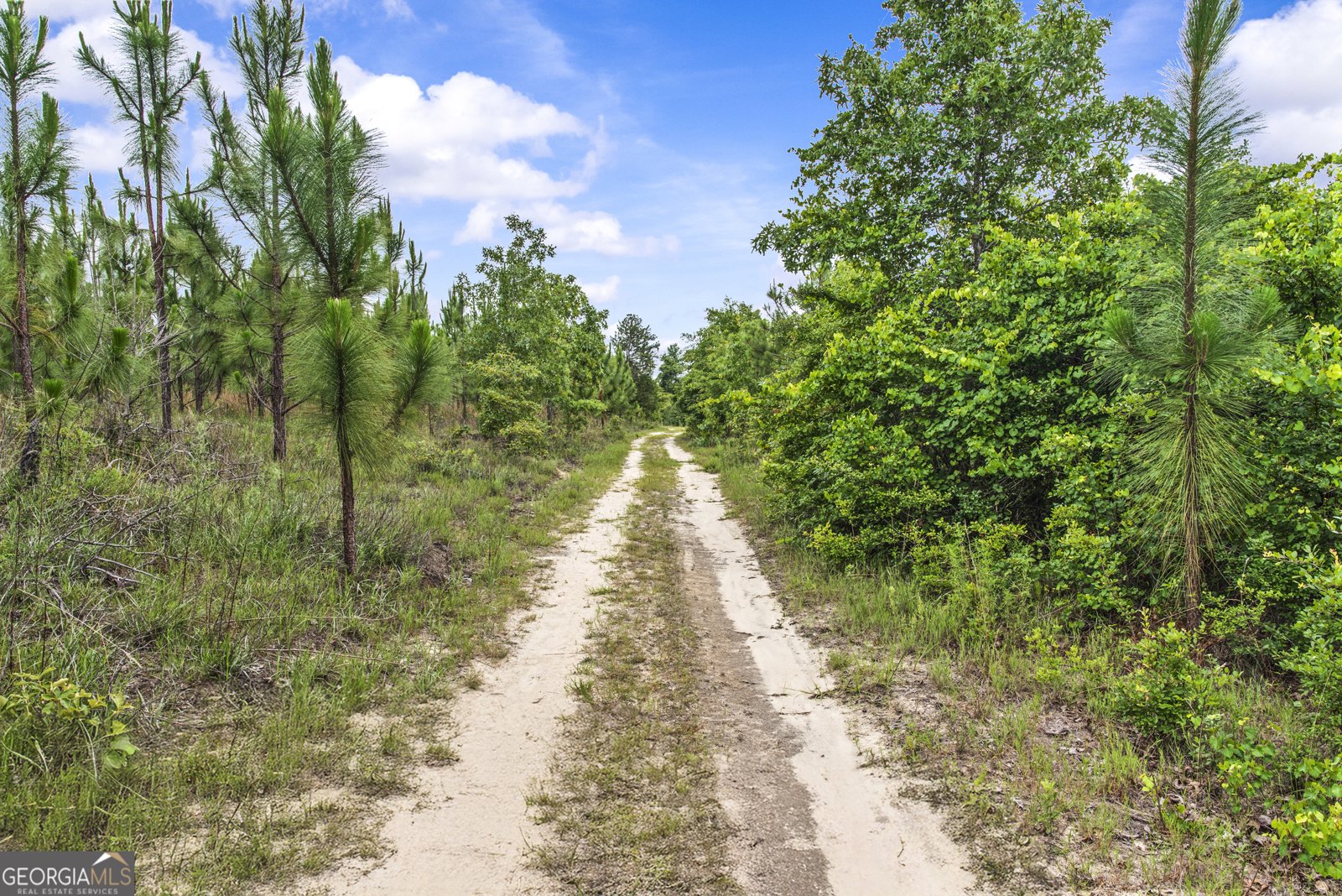 246 Moran Springs RD milledgeville - 3
