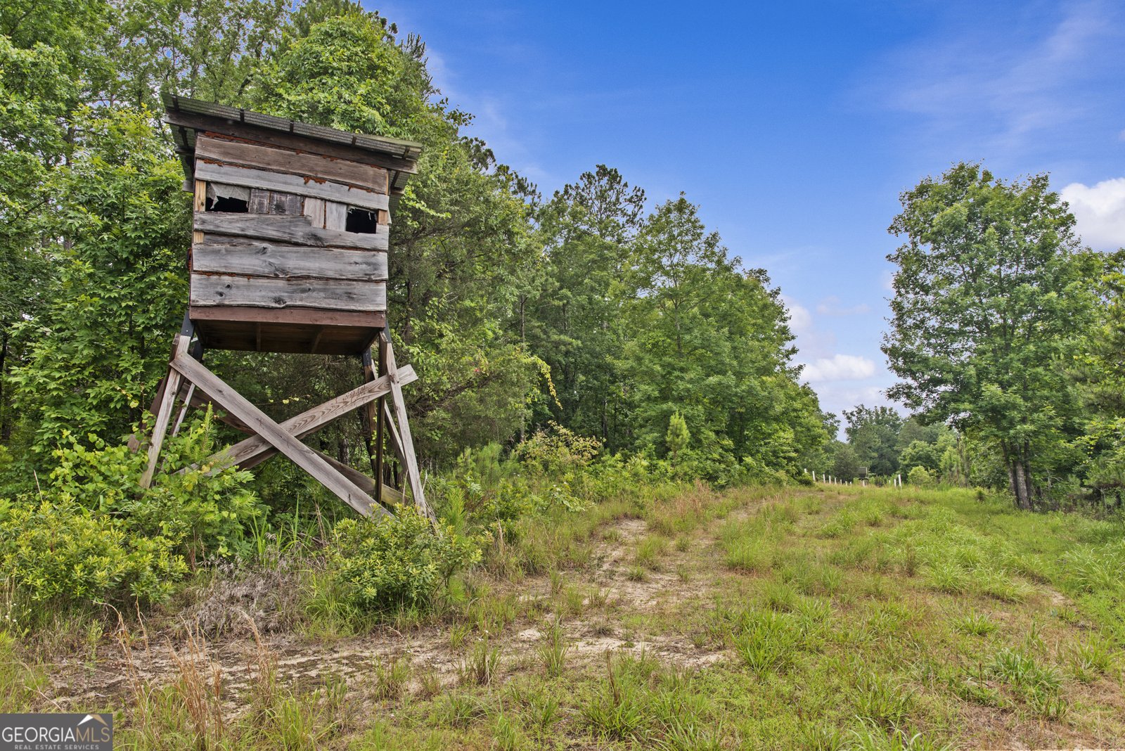 246 Moran Springs RD milledgeville - 4