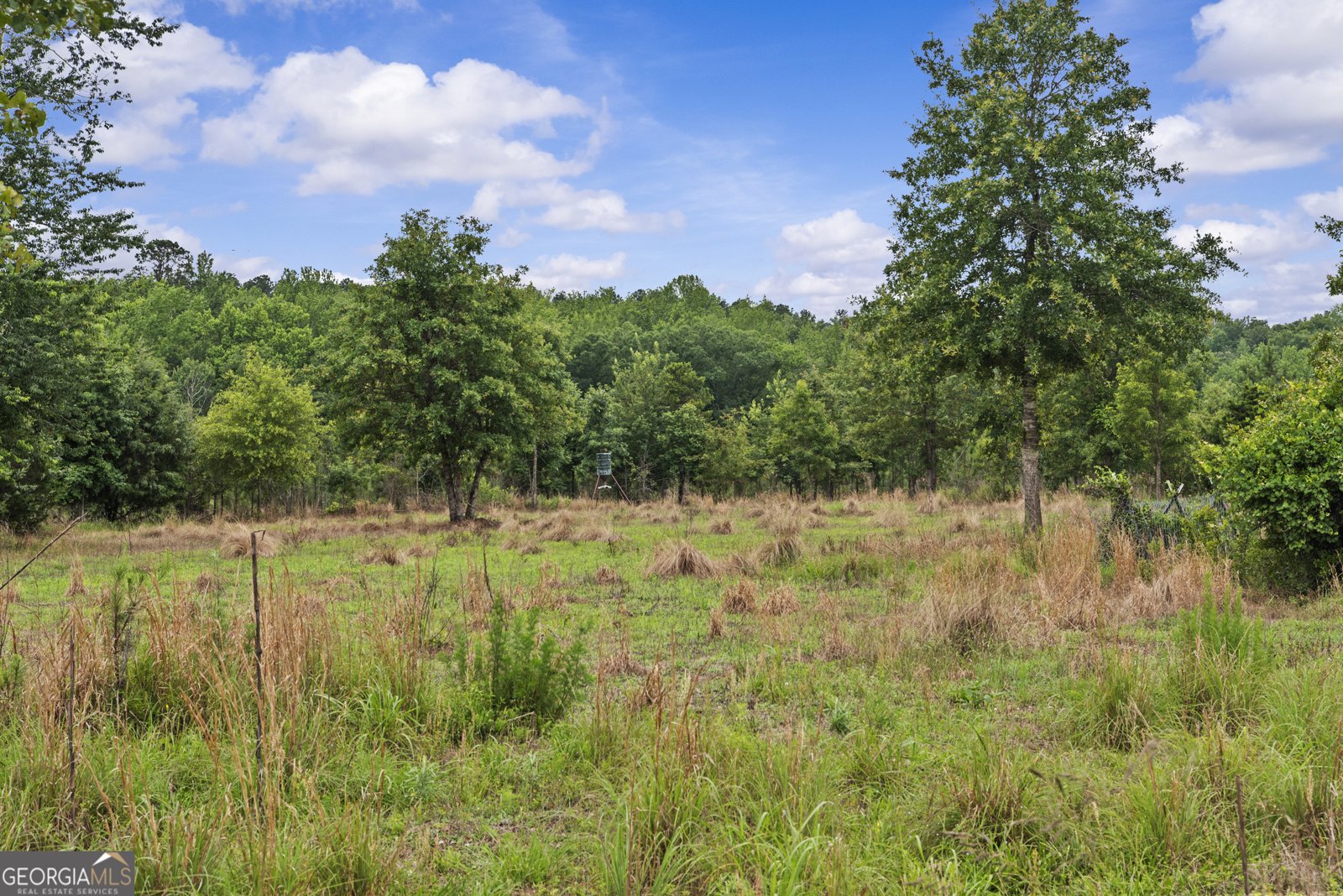 246 Moran Springs RD milledgeville - 6