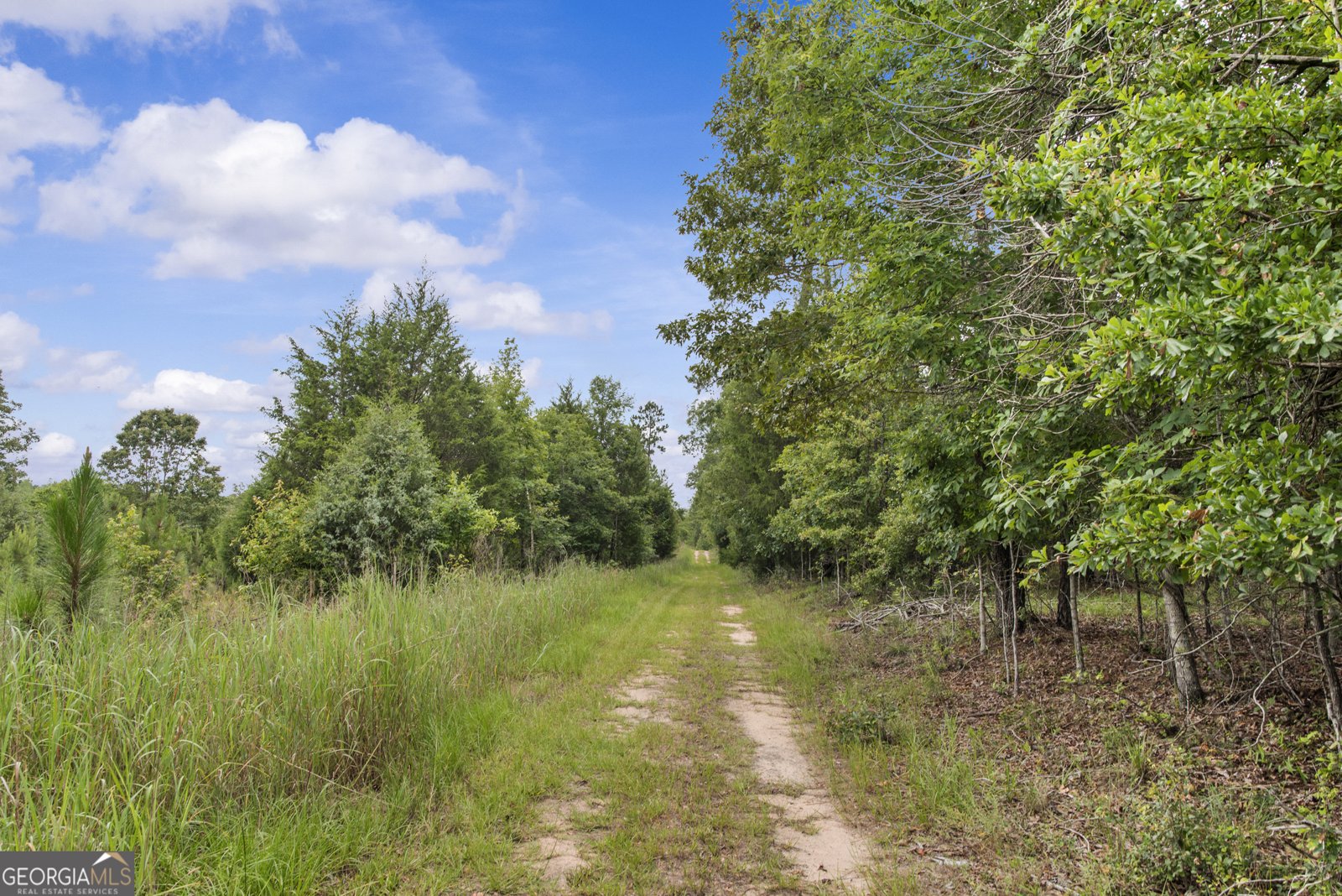 246 Moran Springs RD milledgeville - 7