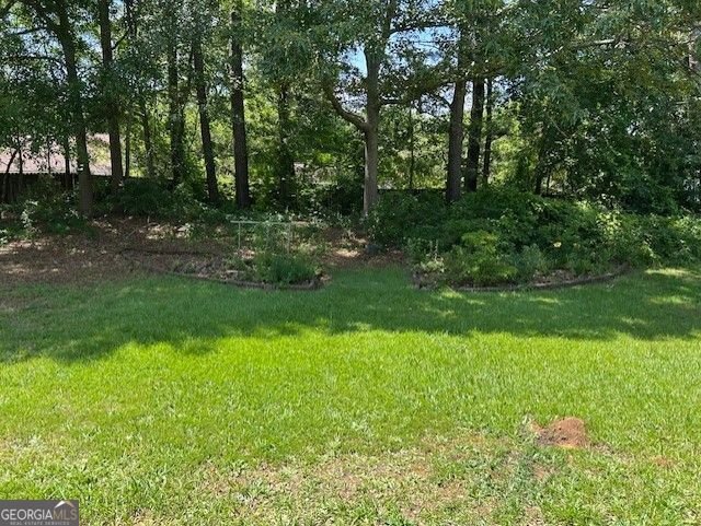 433 Rhett Drive Loganville - 2