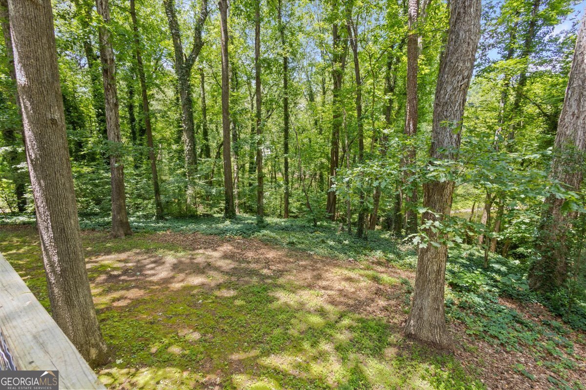 3957 Evans Drive Drive Lithia Springs - 13