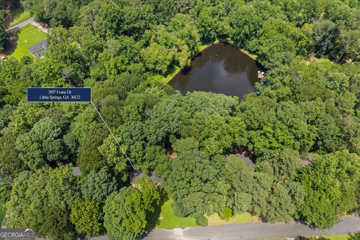 3957 Evans Drive Drive Lithia Springs - 42