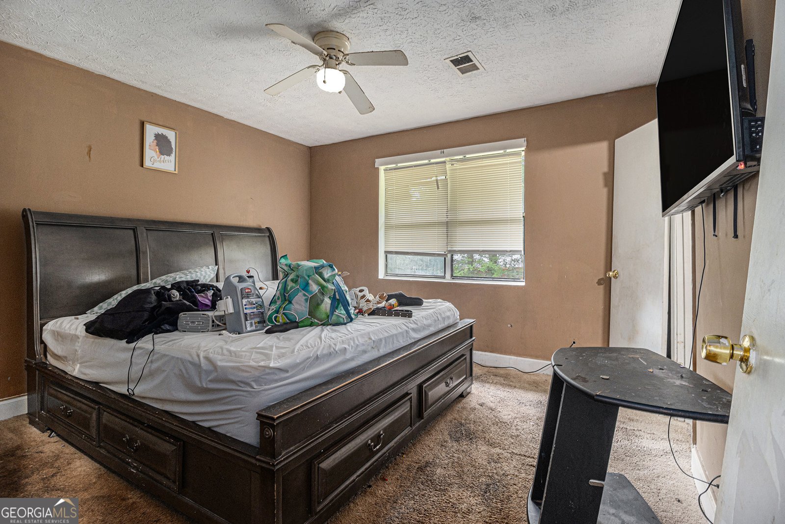 3953 Dalhouise Lane Decatur - 13