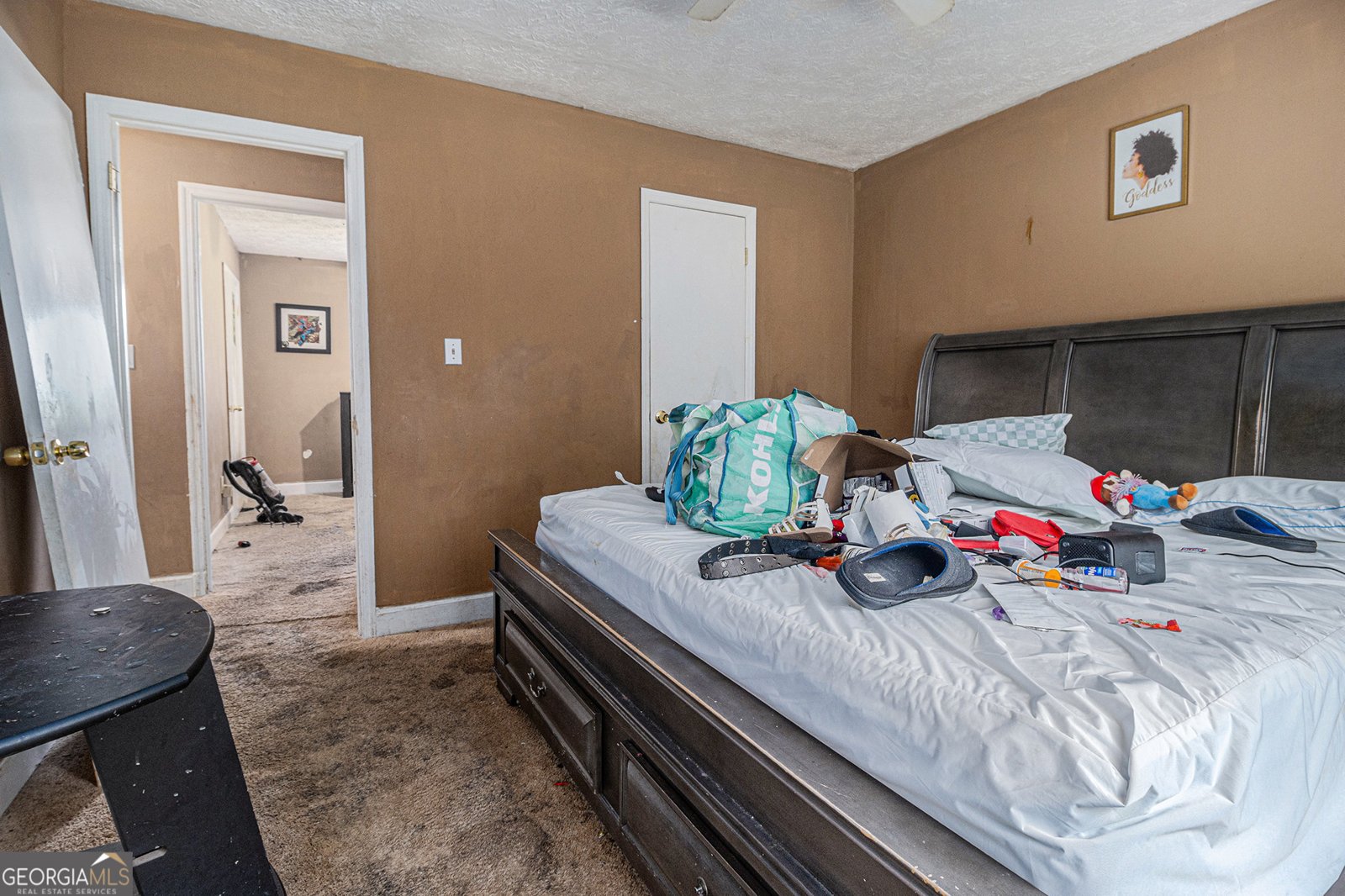 3953 Dalhouise Lane Decatur - 14