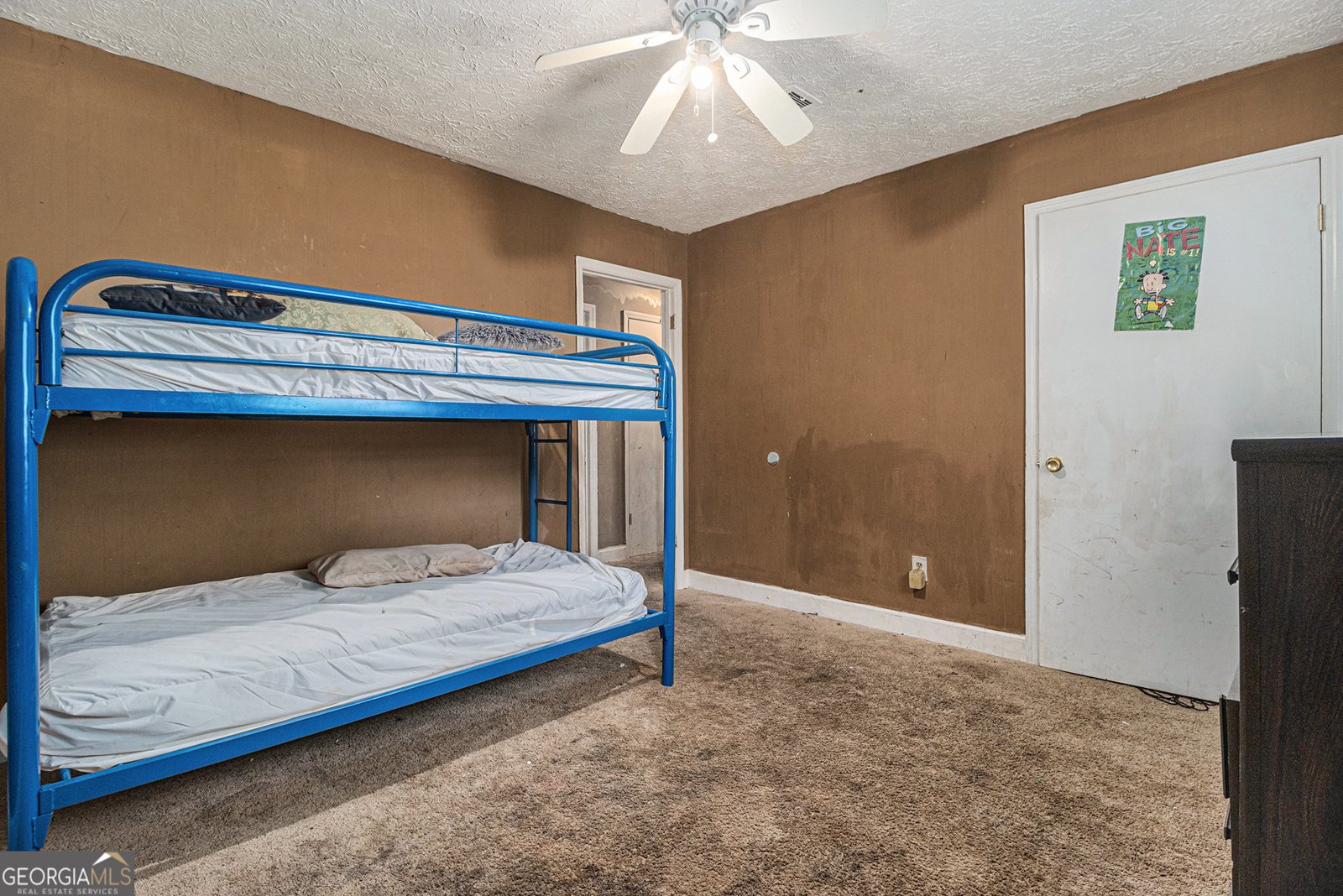 3953 Dalhouise Lane Decatur - 19