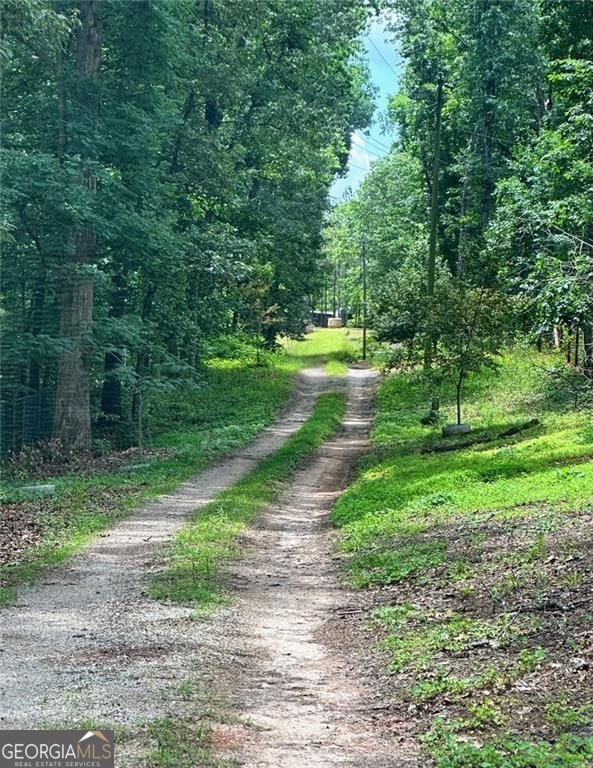 6394 Shore Drive Douglasville - 1