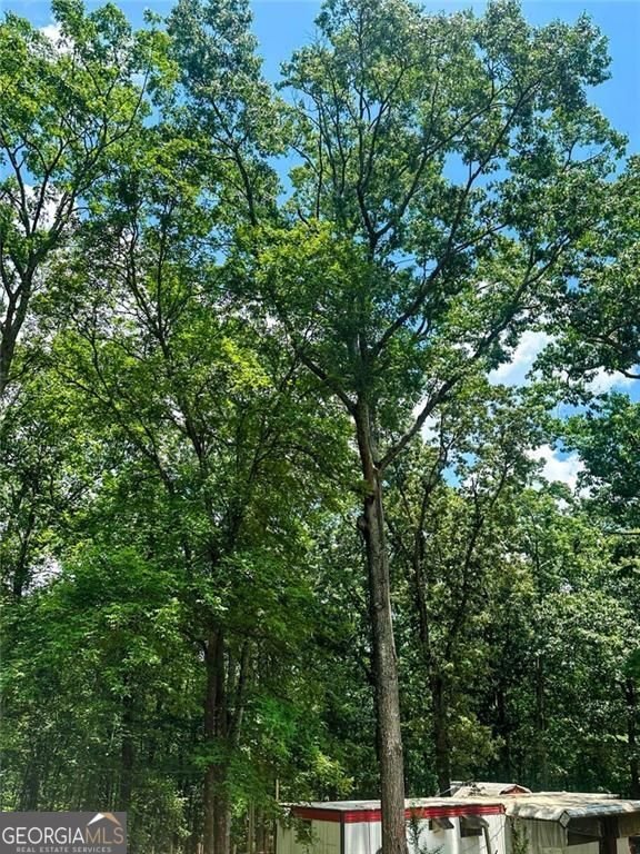 6394 Shore Drive Douglasville - Photo 16