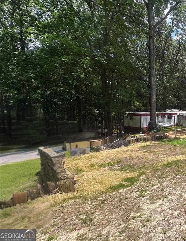 6394 Shore Drive Douglasville - 2