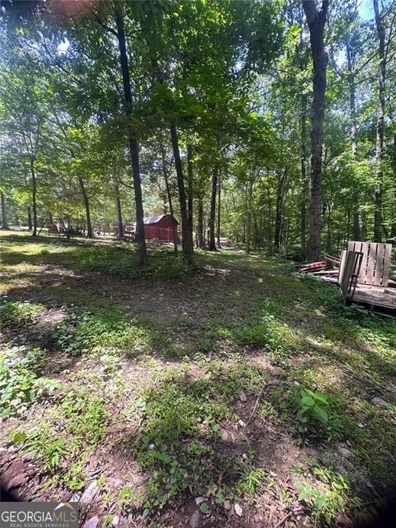 6394 Shore Drive Douglasville - 4