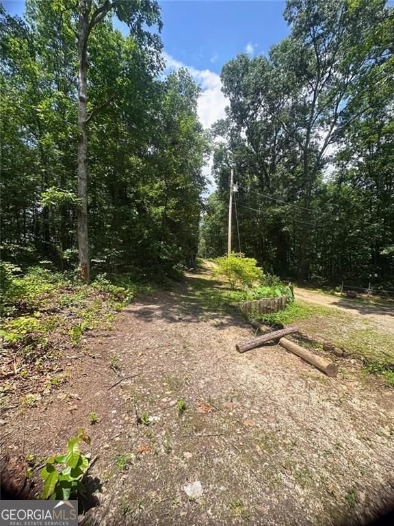 6394 Shore Drive Douglasville - 5
