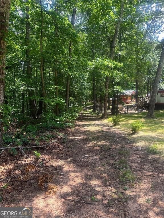 6394 Shore Drive Douglasville - 6