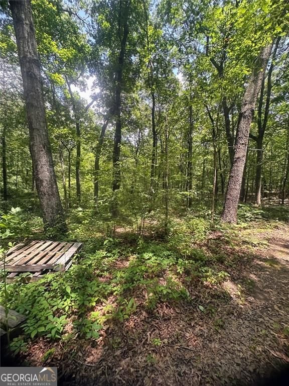 6394 Shore Drive Douglasville - 7