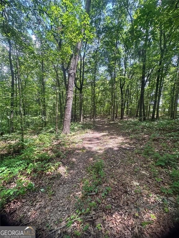 6394 Shore Drive Douglasville - 8